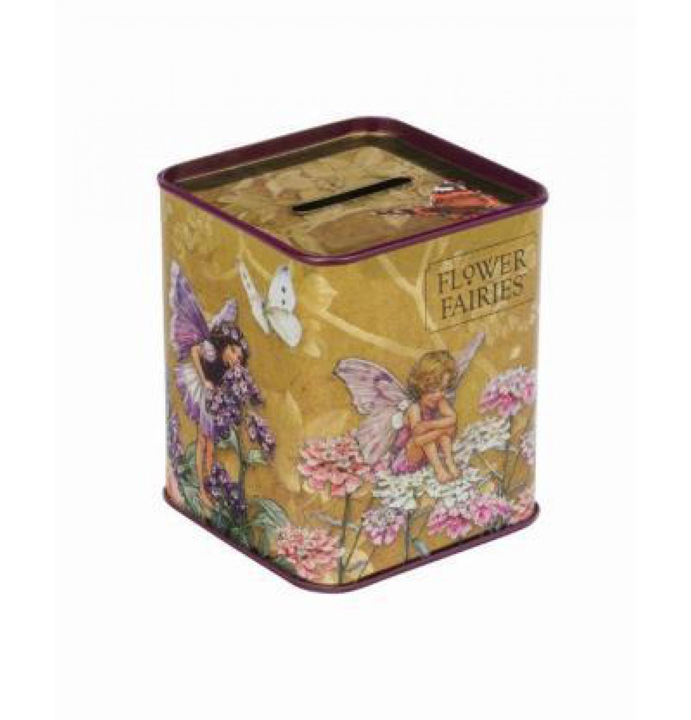 Flower Fairies Tin Money Box