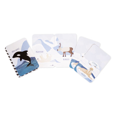 Explore the Arctic Snap and Memory Game by Two Little Ducklings - Friends of K