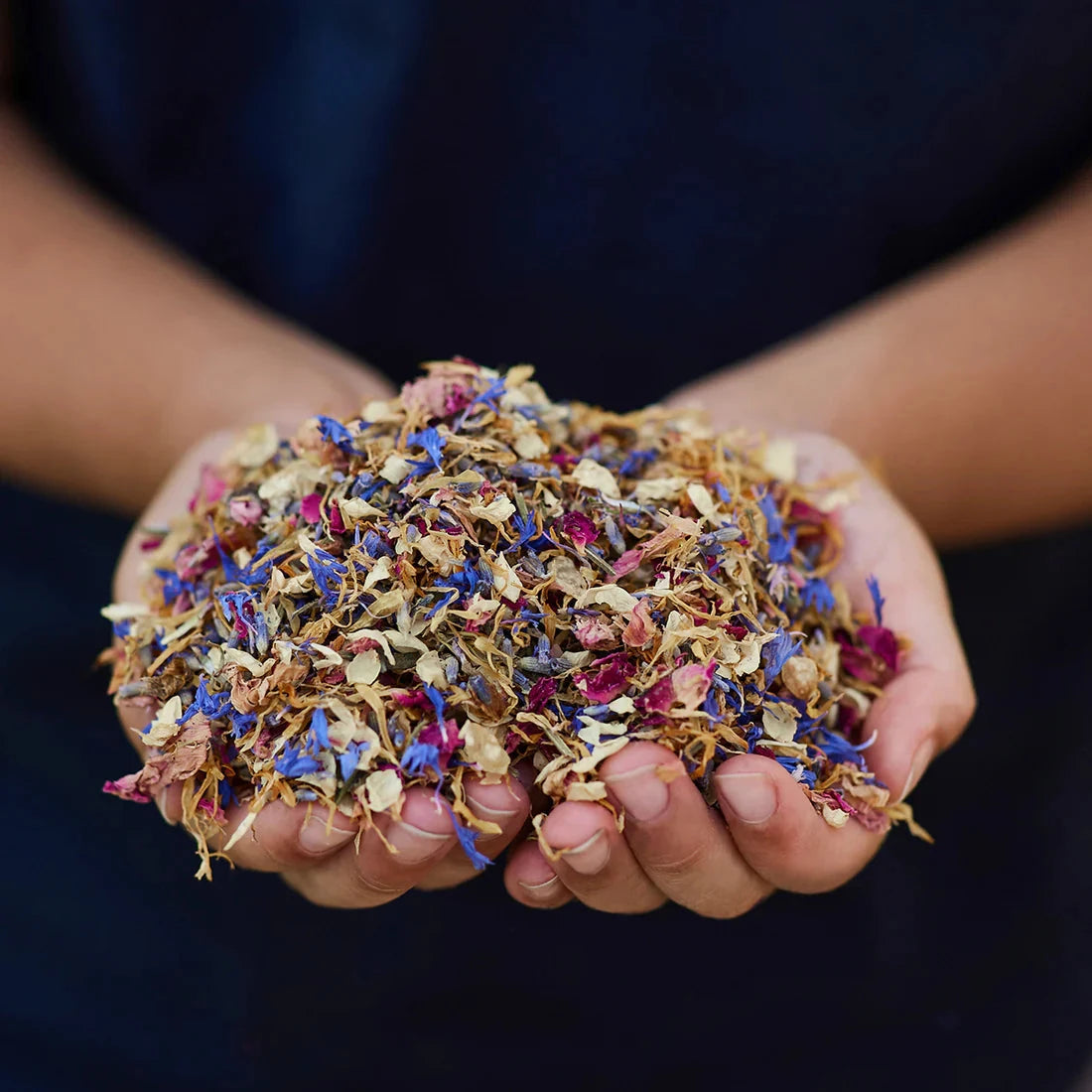 Gus and Mabel | Delightful Dried Flowers Small (assorted) by Gus and Mabel - Friends of K