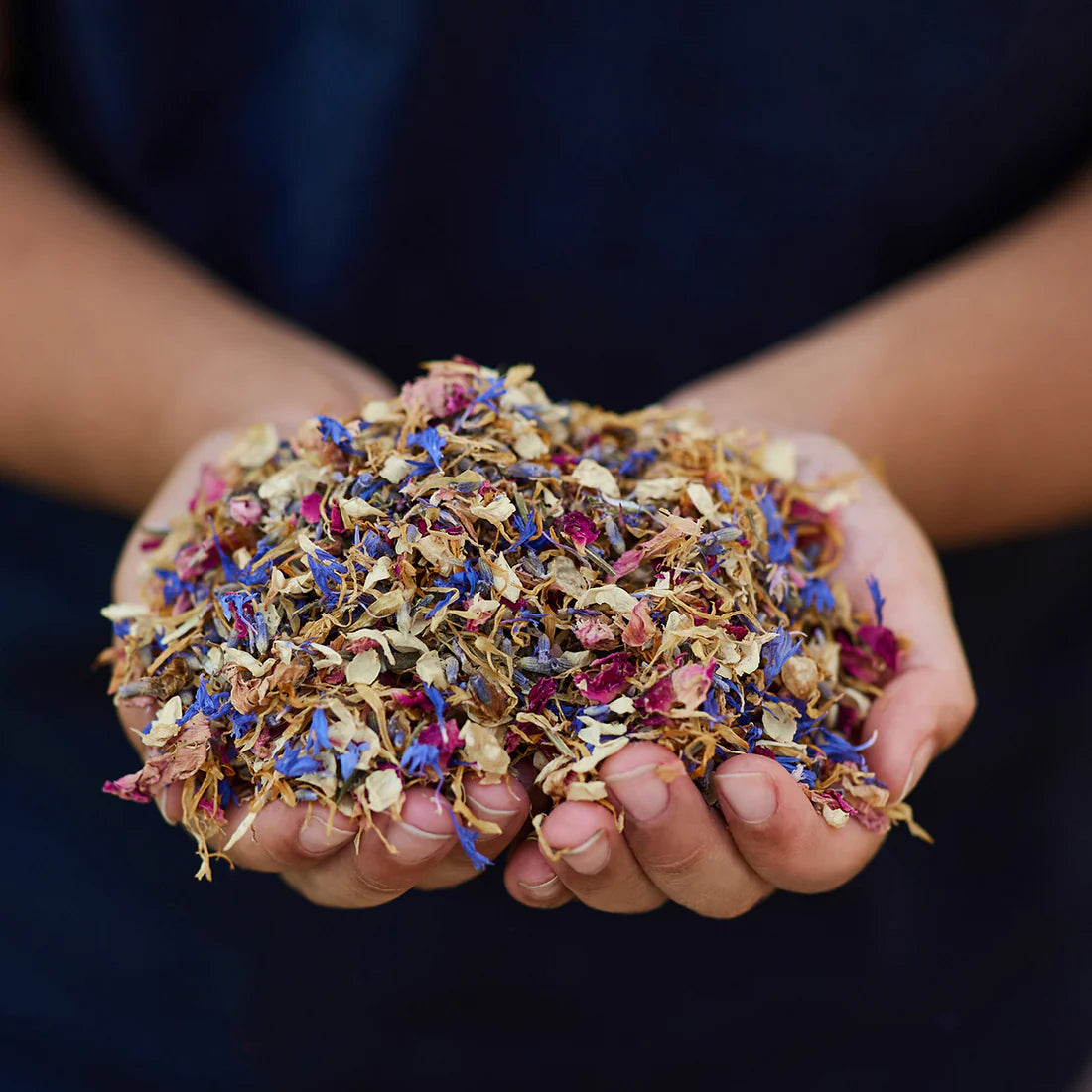 Gus and Mabel | Delightful Dried Flowers Small (assorted) by Gus and Mabel - Friends of K