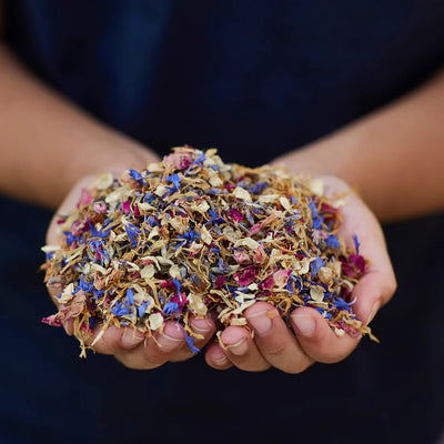 Gus and Mabel | Delightful Dried Flowers Small (assorted) by Gus and Mabel - Friends of K