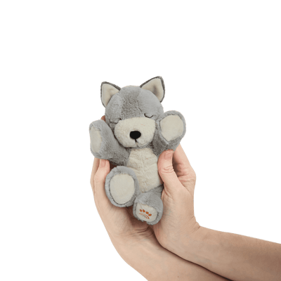 Dinkum Binky Puppy | Banjo by Olli Ella - Friends of K