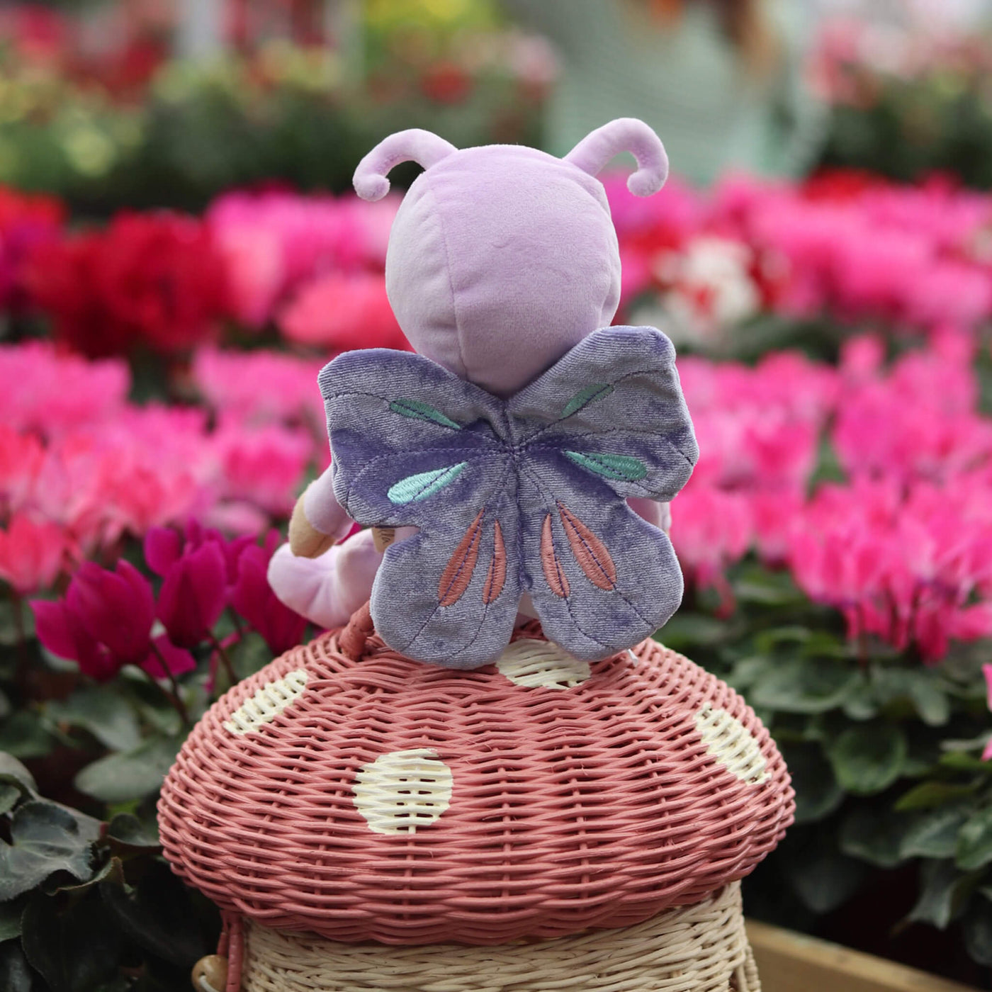 Olli Ella | Dinky Dinkum Backyard Buddies Betty Butterfly Purple by Olli Ella - Friends of K