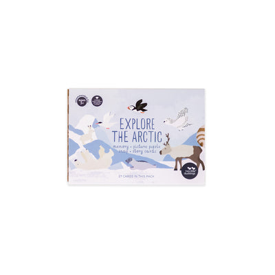 Explore the Arctic Snap and Memory Game by Two Little Ducklings - Friends of K