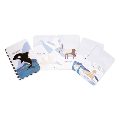Explore the Arctic Snap and Memory Game by Two Little Ducklings - Friends of K