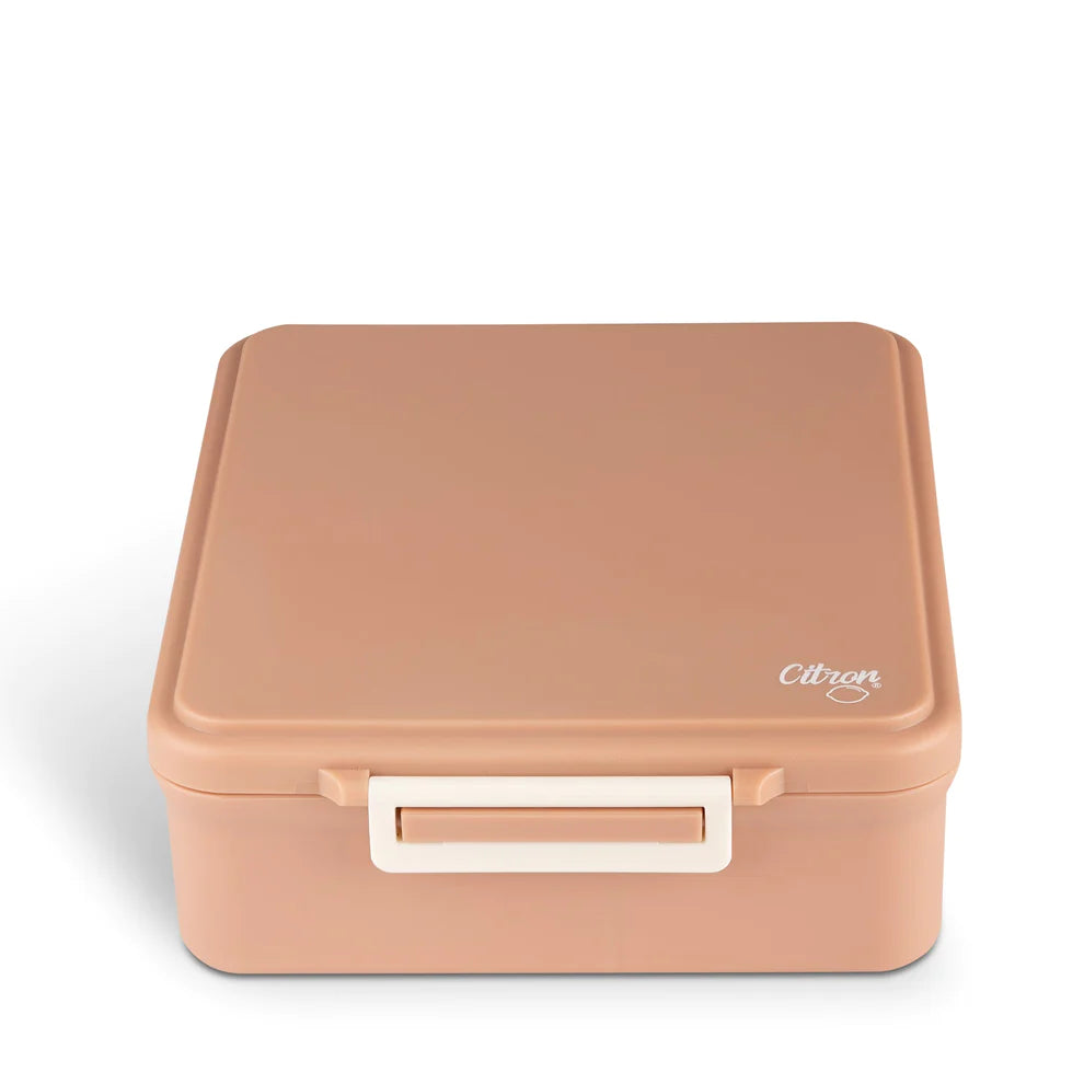 Grand Lunch Box With 4 Compartments And 1 Food Jar - Blush Pink