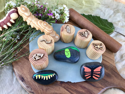 Butterfly Lifecycle Playdough Stamps by Beadie Bug Play - Friends of K