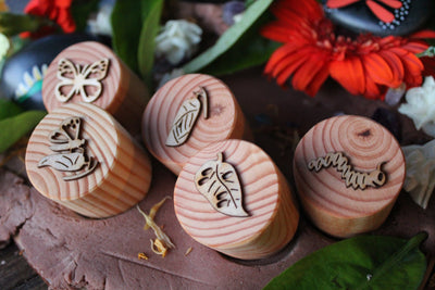 Butterfly Lifecycle Playdough Stamps by Beadie Bug Play - Friends of K