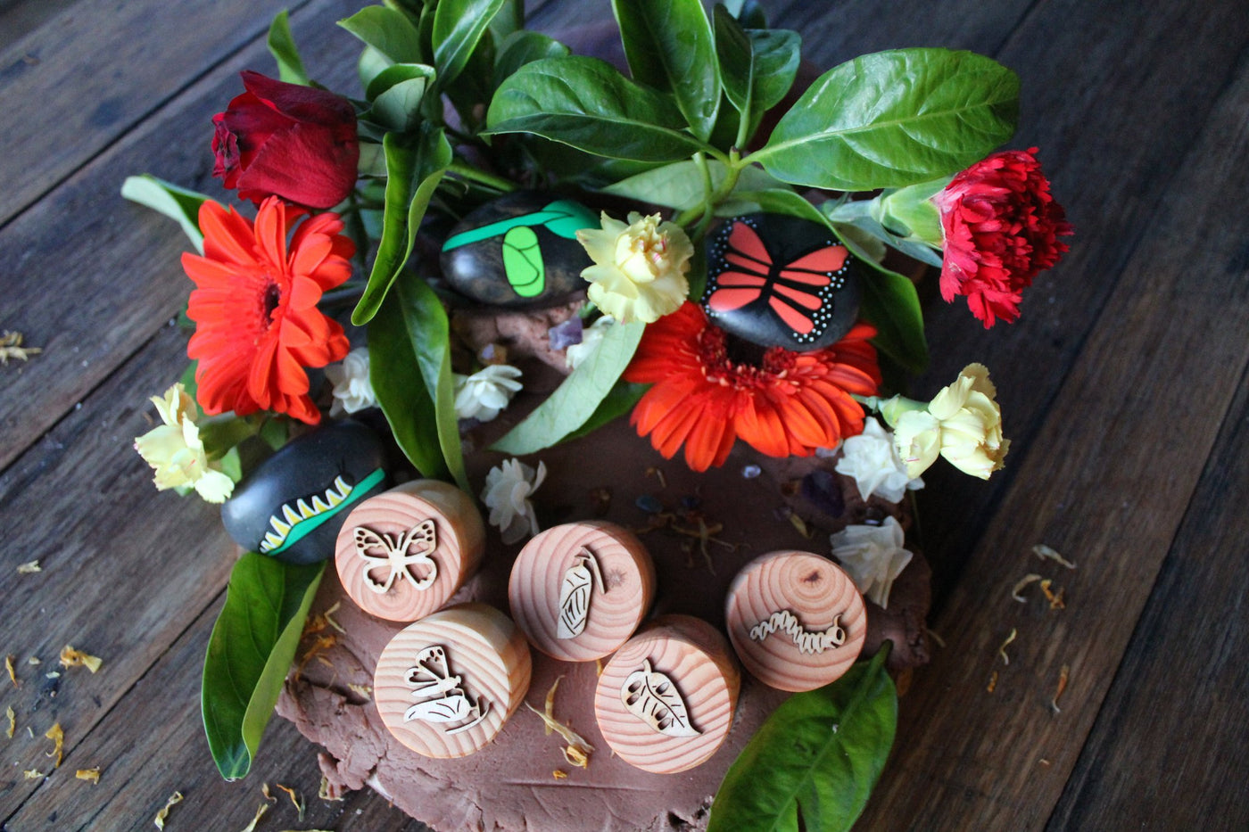 Butterfly Lifecycle Playdough Stamps by Beadie Bug Play - Friends of K