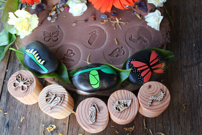 Butterfly Lifecycle Playdough Stamps by Beadie Bug Play - Friends of K