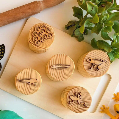 Frog Lifecycle Playdough Stamps by Beadie Bug Play - Friends of K