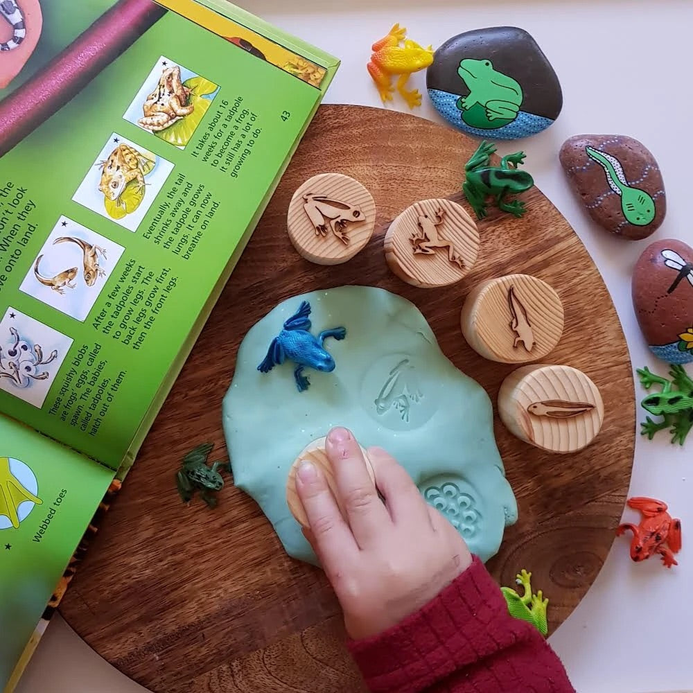 Frog Lifecycle Playdough Stamps by Beadie Bug Play - Friends of K