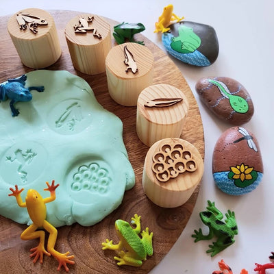 Frog Lifecycle Playdough Stamps by Beadie Bug Play - Friends of K