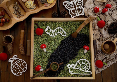 Snail Bio Cutter by Beadie Bug Play - Friends of K