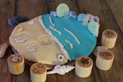 Turtle Lifecycle Playdough Stamps by Beadie Bug Play - Friends of K