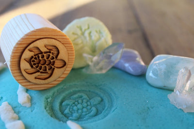 Turtle Lifecycle Playdough Stamps by Beadie Bug Play - Friends of K