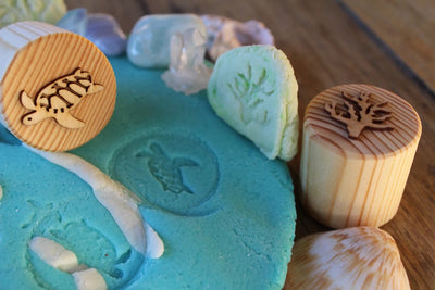 Turtle Lifecycle Playdough Stamps by Beadie Bug Play - Friends of K