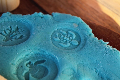 Turtle Lifecycle Playdough Stamps by Beadie Bug Play - Friends of K
