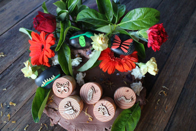 Butterfly Lifecycle Playdough Stamps by Beadie Bug Play - Friends of K