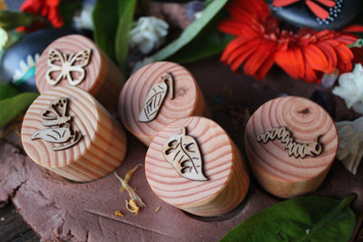 Butterfly Lifecycle Playdough Stamps by Beadie Bug Play - Friends of K