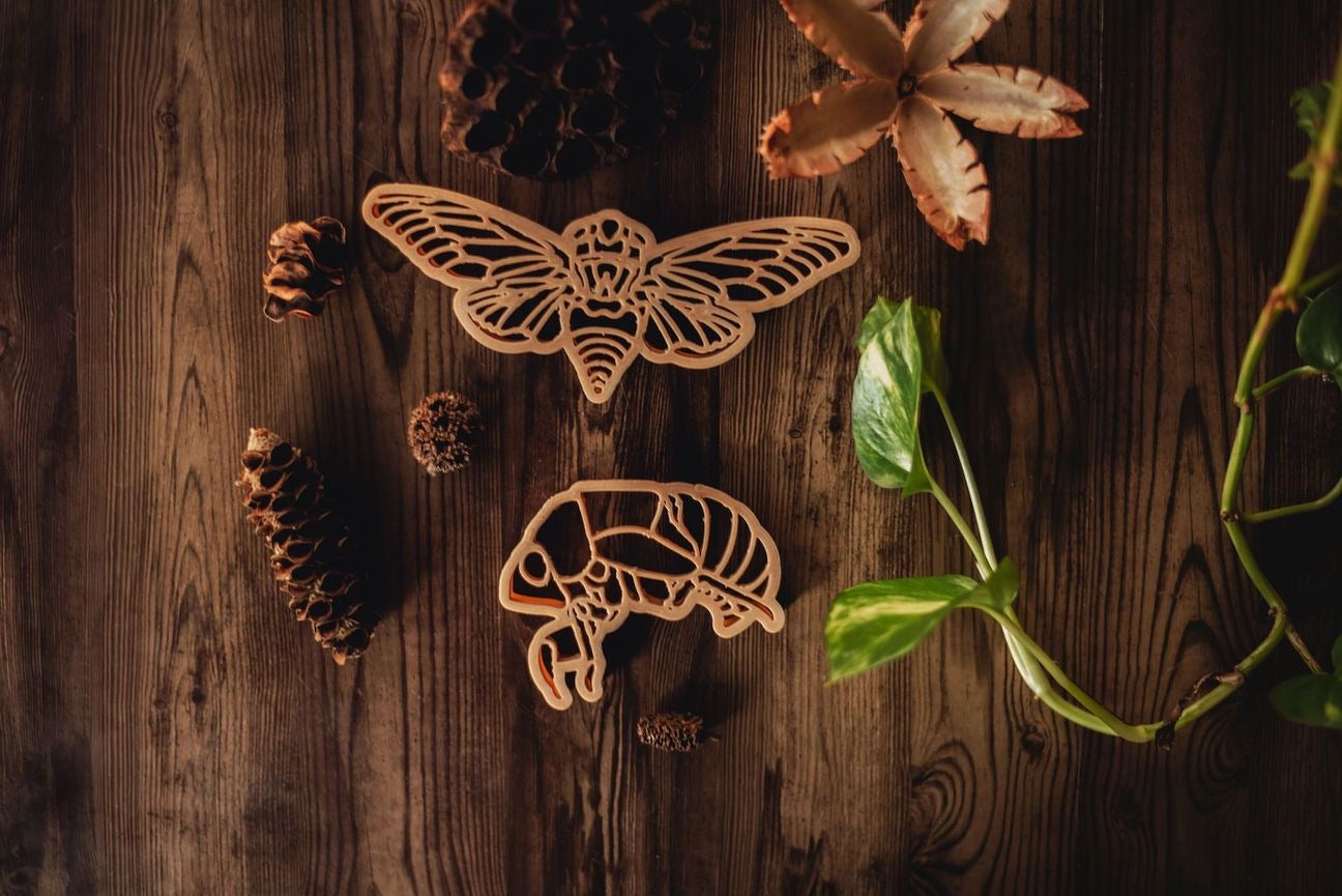 Cicada & Shell Eco Cutter Set by Kinfolk Pantry - Friends of K