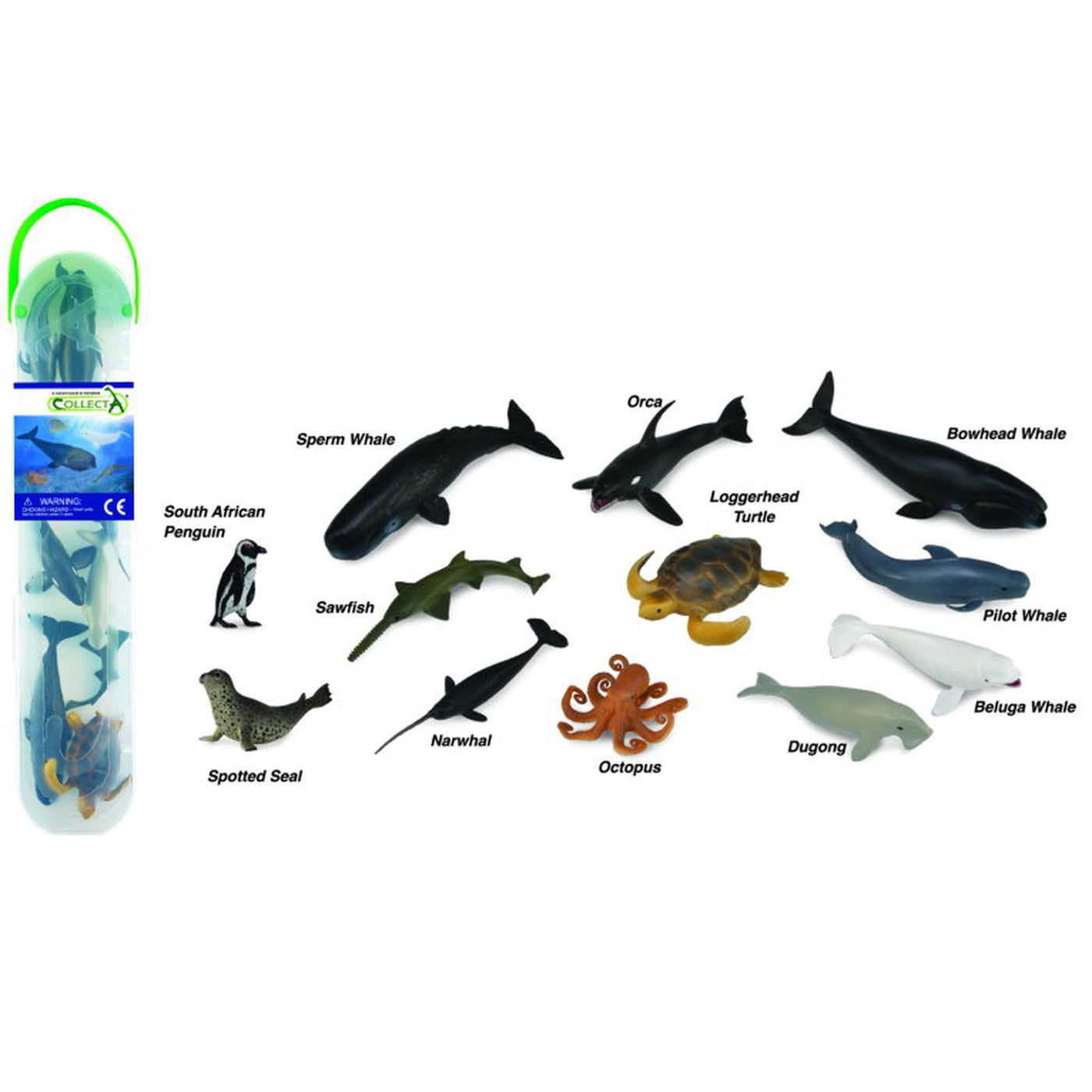 CollectA Gift Tube - Marine B (12 Piece) by CollectA - Friends of K