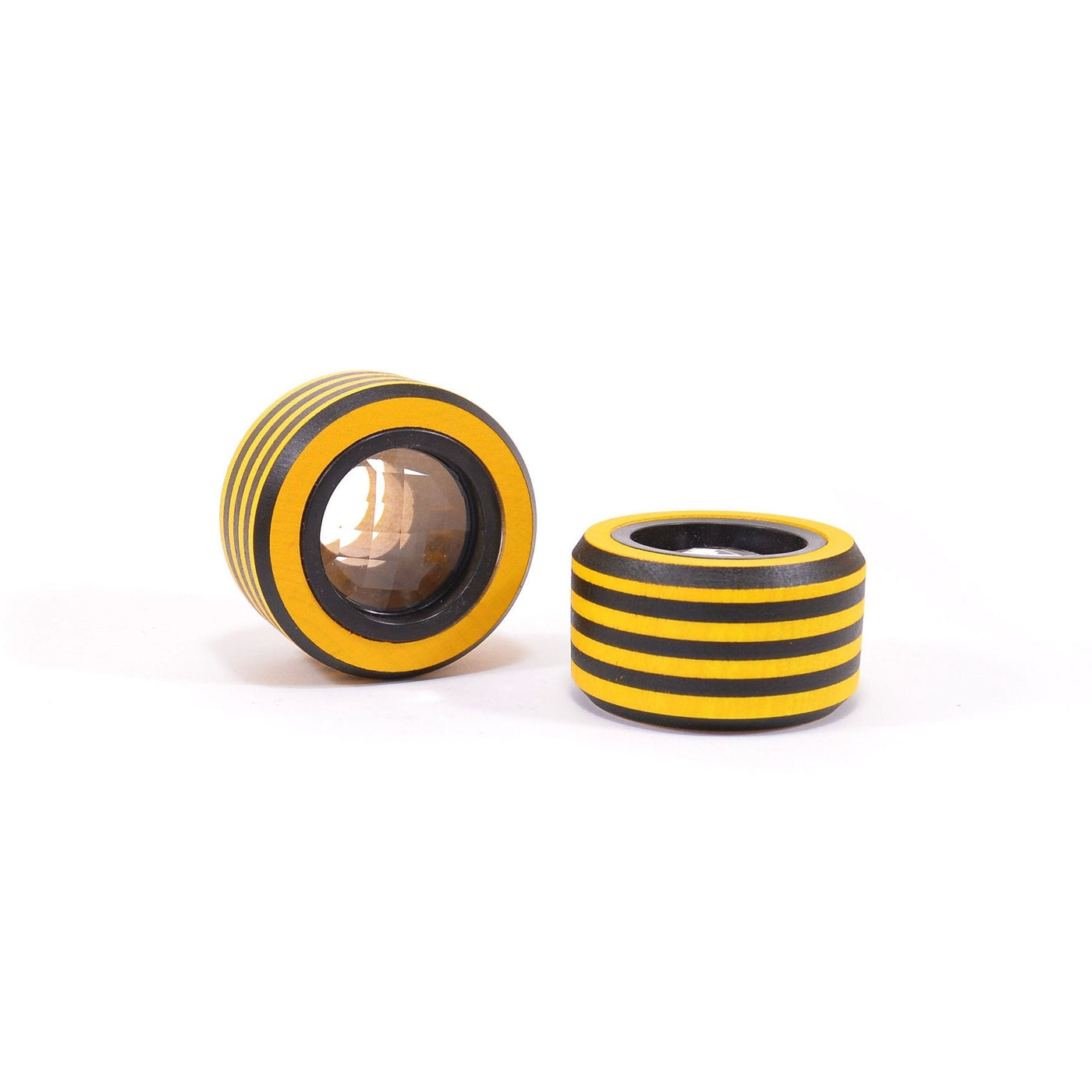 Compound Bees by Mader - Friends of K