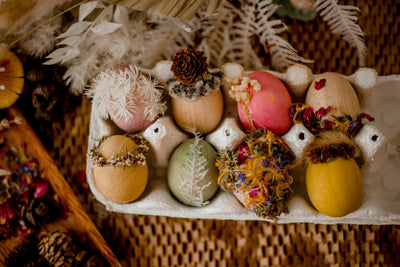 DIY wooden eggs (set of 12) by QTOYS - Friends of K