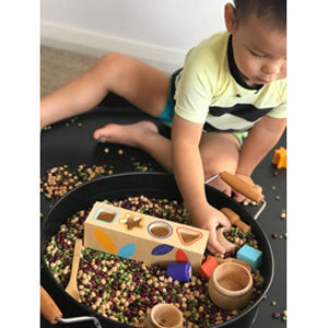 Boitabasic Shape Sorter by Djeco - Friends of K