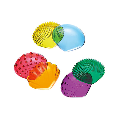 Transparent Tactile Shells (jar of 36) by EDX Education - Friends of K