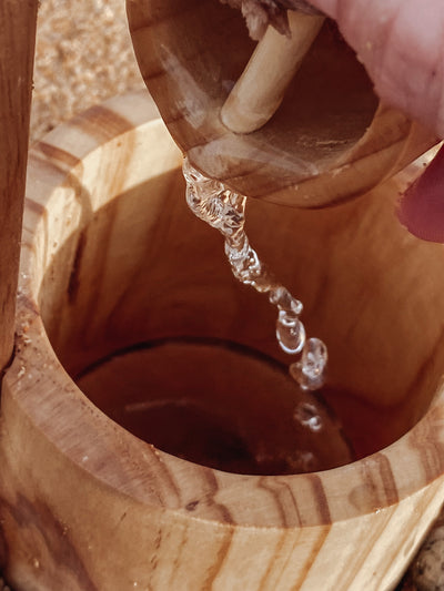 Dig Your Own Water Well by Explore Nook - Friends of K