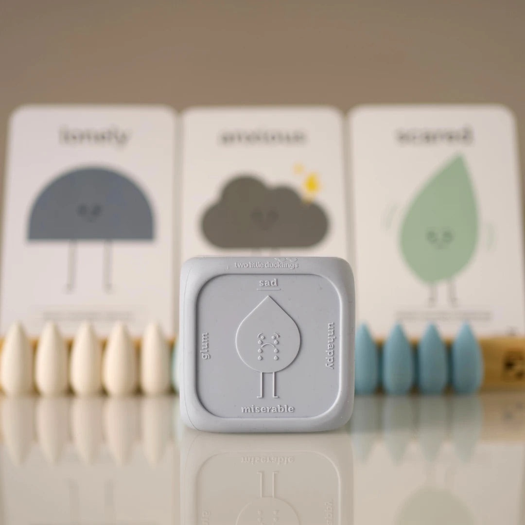 Feelings Cube - Snow by Two Little Ducklings - Friends of K
