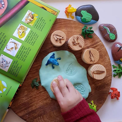 Frog Lifecycle Playdough Stamps by Beadie Bug Play - Friends of K