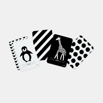 High Contrast Flash Cards by Two Little Ducklings - Friends of K