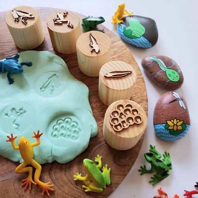 Frog Lifecycle Playdough Stamps