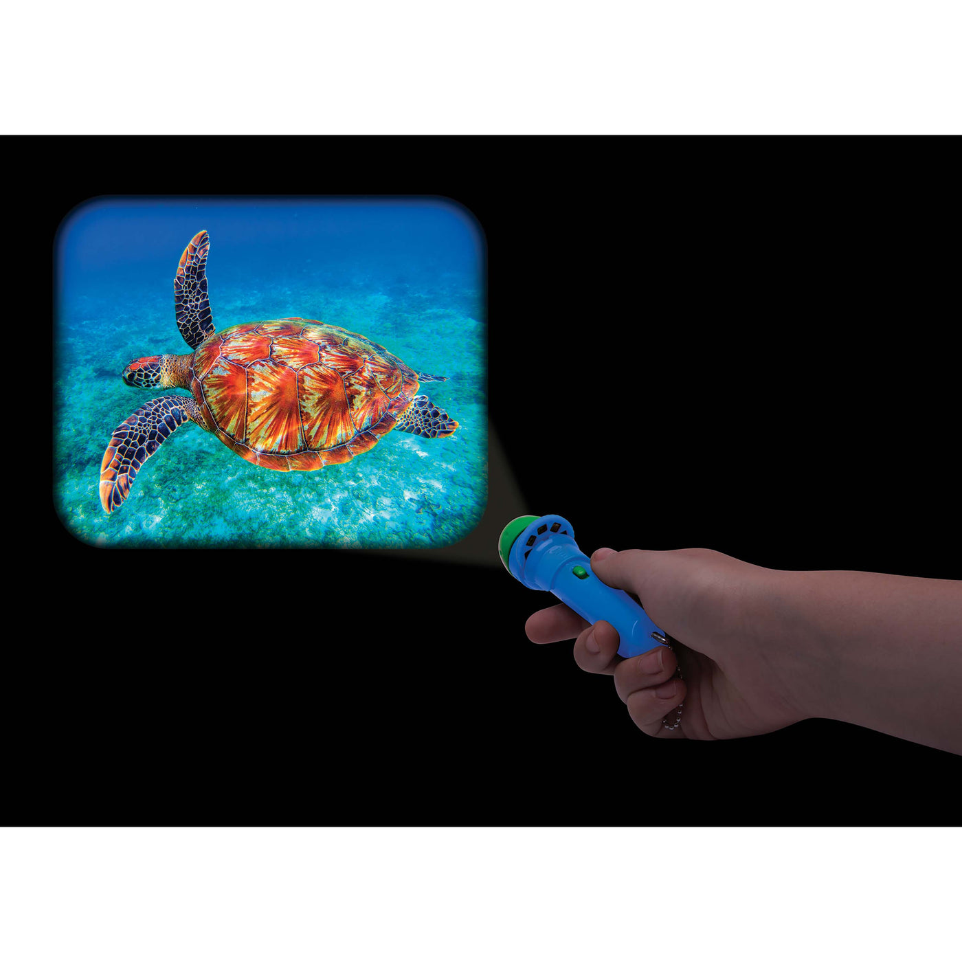 Torch Projector - Animal Kingdom by Is Gift - Friends of K