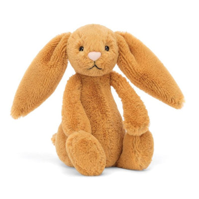 Jellycat Bashful Bunny Small 18cm (Assorted Colours) by Jellycat - Friends of K