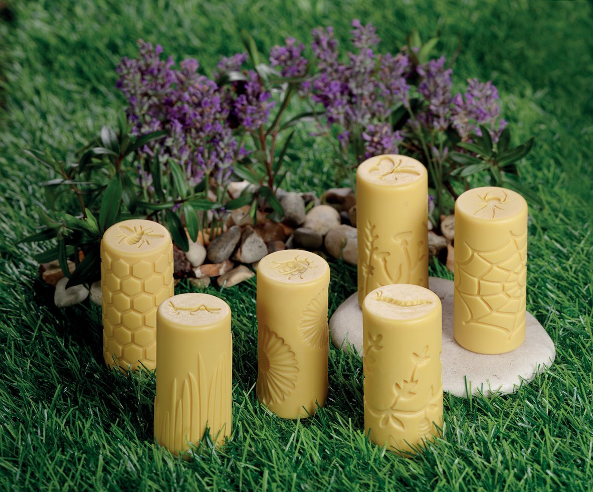 Let’s Roll - Garden Bugs (set of 6) by Yellow Door - Friends of K