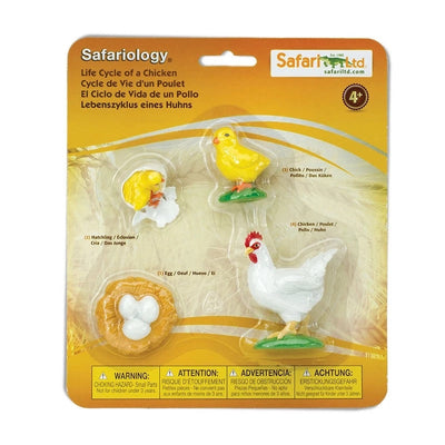 Life Cycle of a Chicken by Safari Ltd - Friends of K