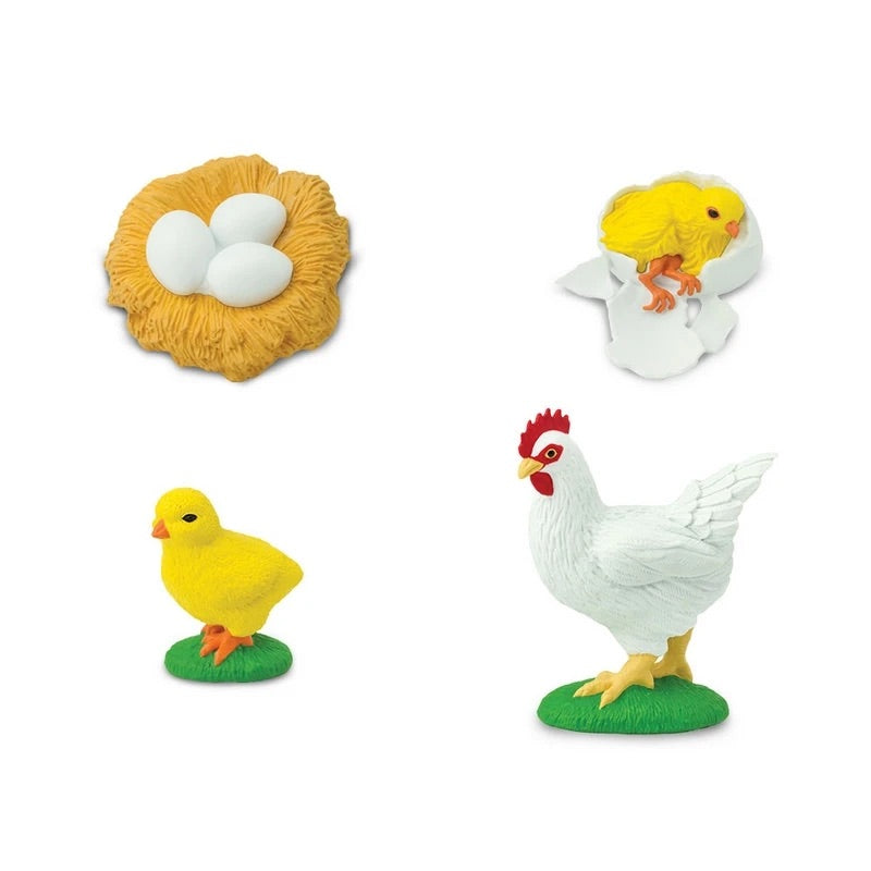 Life Cycle of a Chicken by Safari Ltd - Friends of K