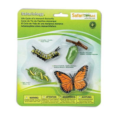 Life Cycle of a Monarch Butterfly by Safari Ltd - Friends of K