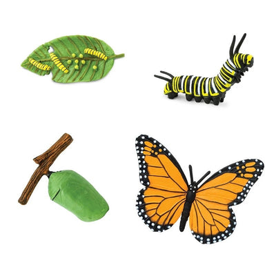 Life Cycle of a Monarch Butterfly by Safari Ltd - Friends of K