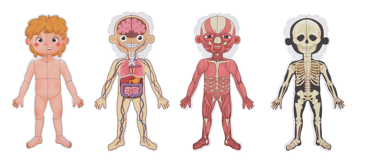 Magnetic Body Chart by Tooky Toy - Friends of K