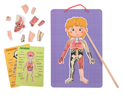 Magnetic Body Chart by Tooky Toy - Friends of K