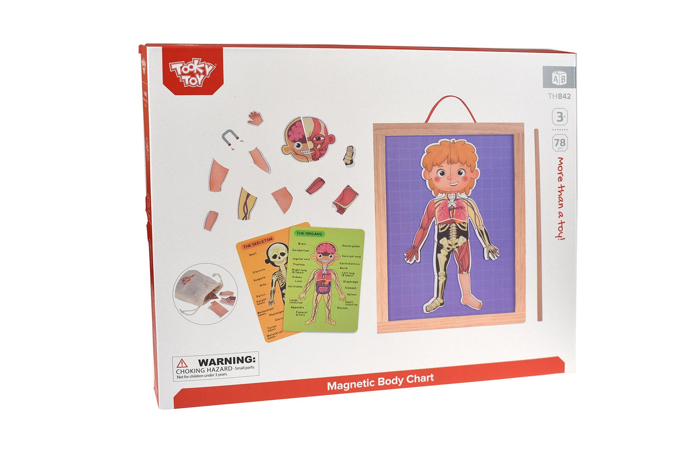 Magnetic Body Chart by Tooky Toy - Friends of K
