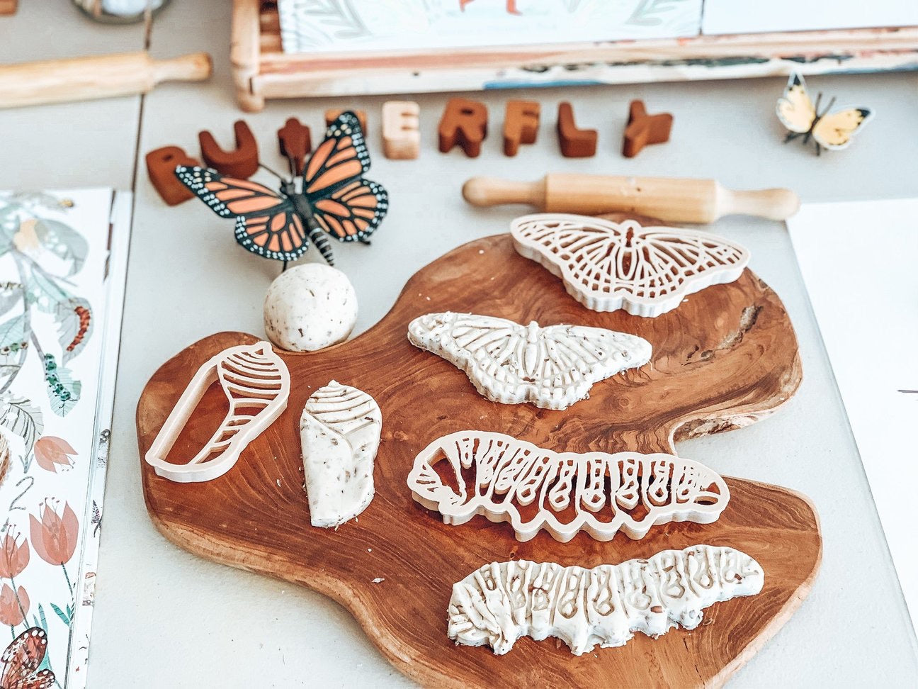 Monarch Butterfly Life Cycle Eco Cutter by Kinfolk Pantry - Friends of K