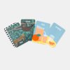 Opposites Flash Cards by Two Little Ducklings - Friends of K