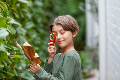 Outdoor Activity Set - Back to Nature by Tiger Tribe - Friends of K