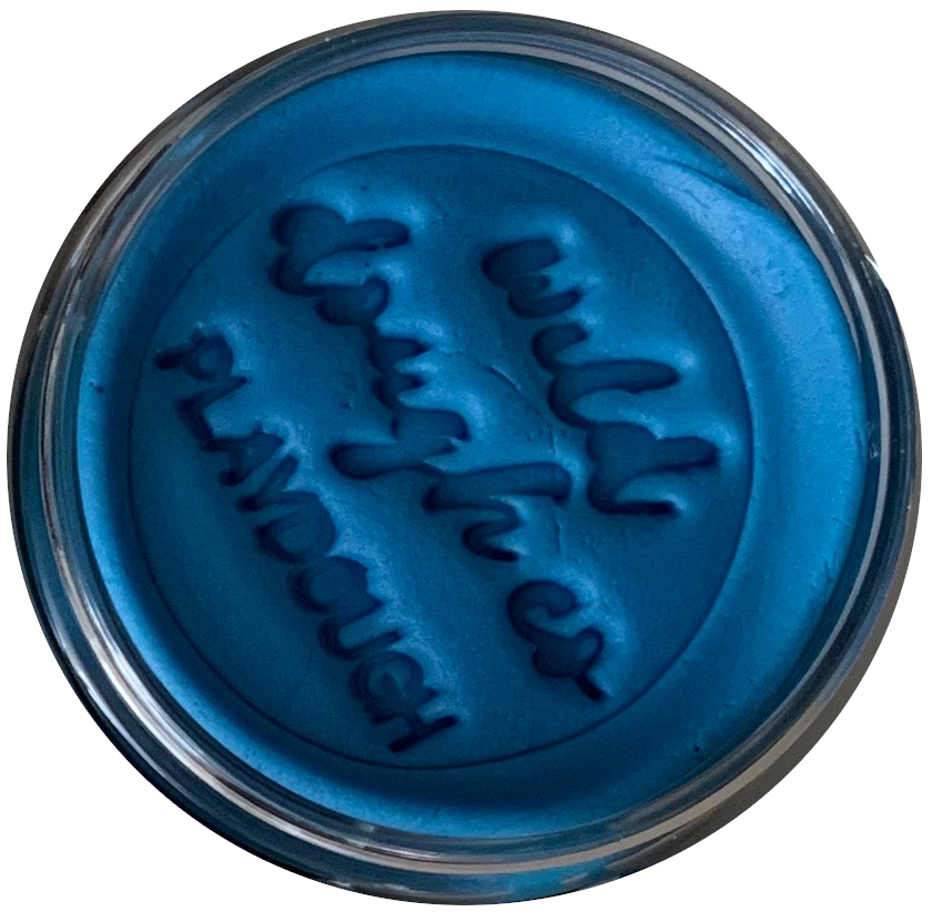 Pacific Blue Playdough (Blueberry scented) by Wild Dough Co - Friends of K