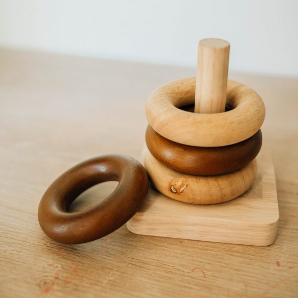 Montessori Baby Rings by QTOYS - Friends of K